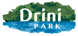 drini